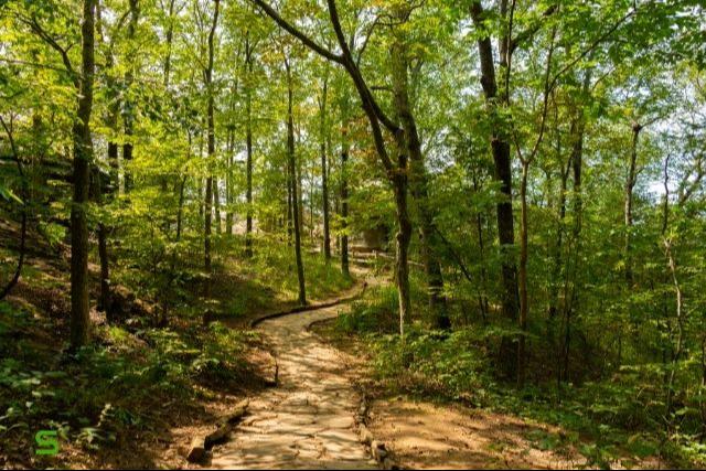 Pinka teljes�tm�nyt�ra