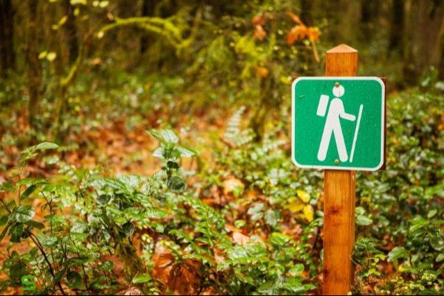 Nagyp�nteki Gyalogt�ra Gencsap�ti-Szentk�tra